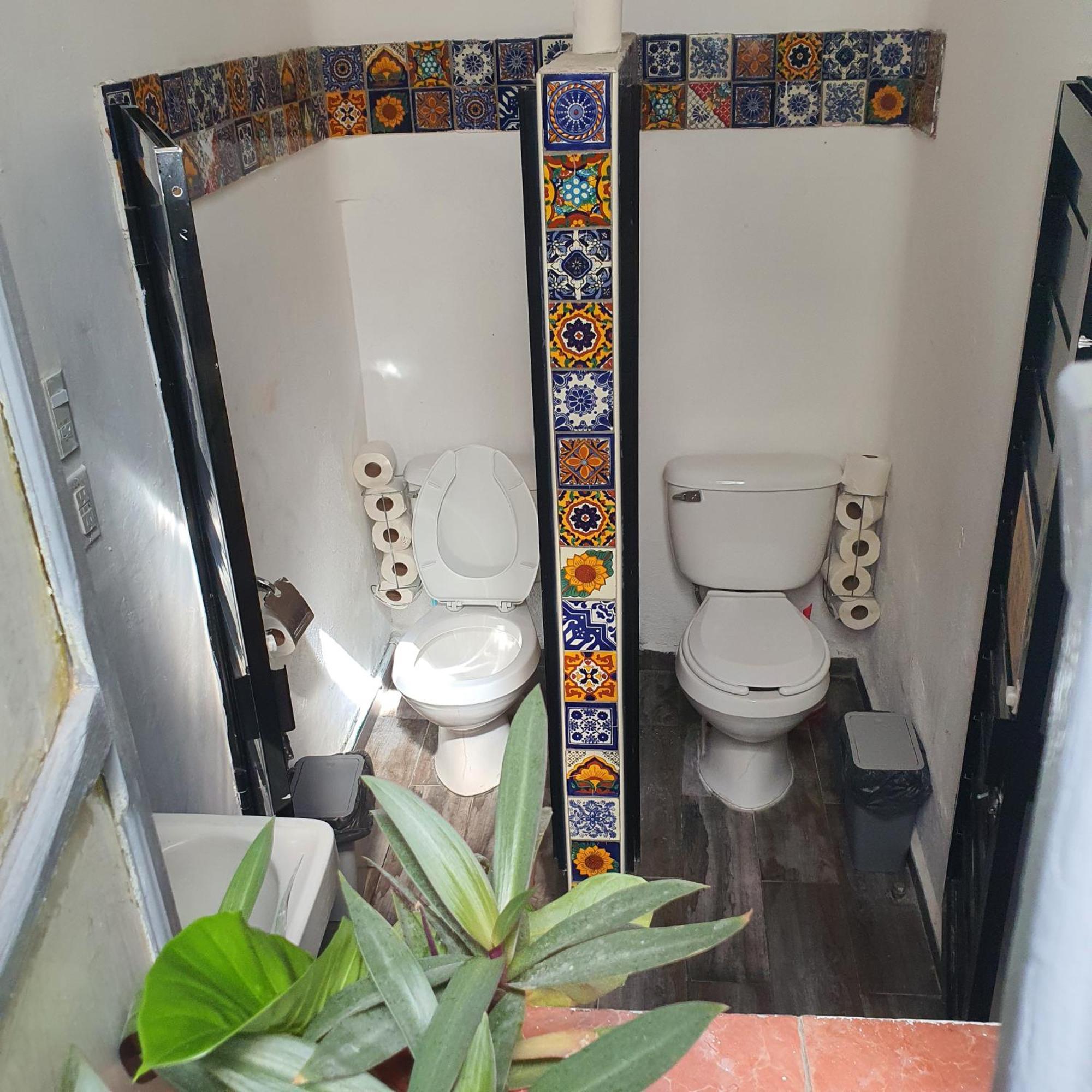 Sukha Hostel San Luis San Luis Potosí Екстериор снимка
